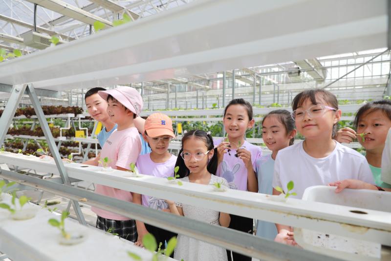 1719106784905053.jpg 1719106784905053.jpg