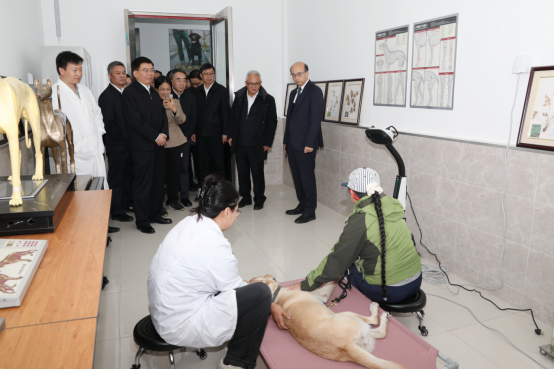 工作人员使用设备