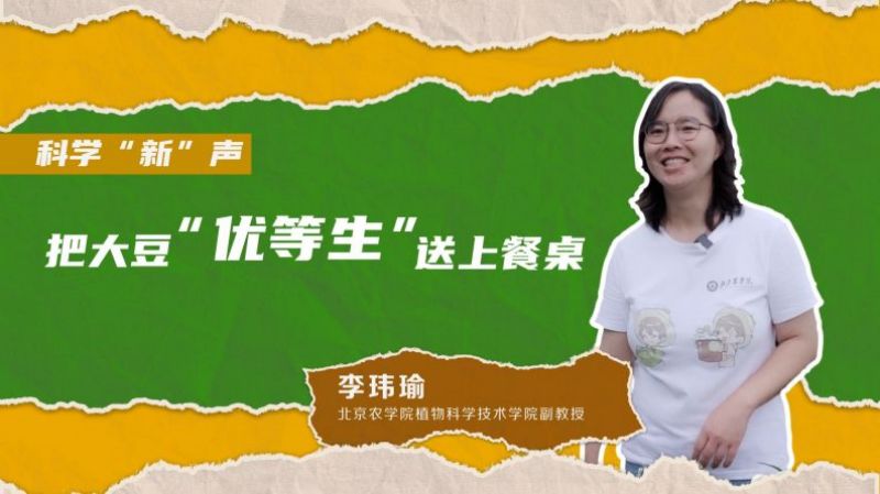 科学“新”声丨把大豆“优等生”送上餐桌 科学“新”声丨把大豆“优等生”送上餐桌