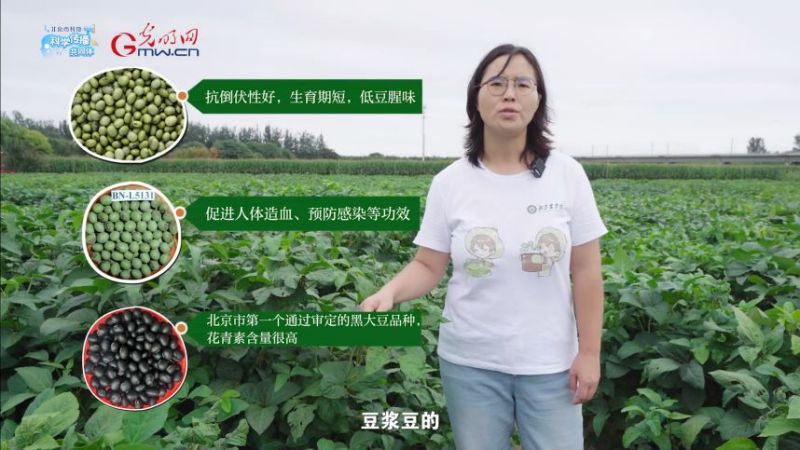 科学“新”声丨把大豆“优等生”送上餐桌 科学“新”声丨把大豆“优等生”送上餐桌